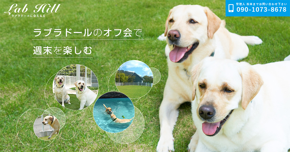 Lab Hillラブヒル｜ラブラドールのオフ会で週末を楽しむ！関西